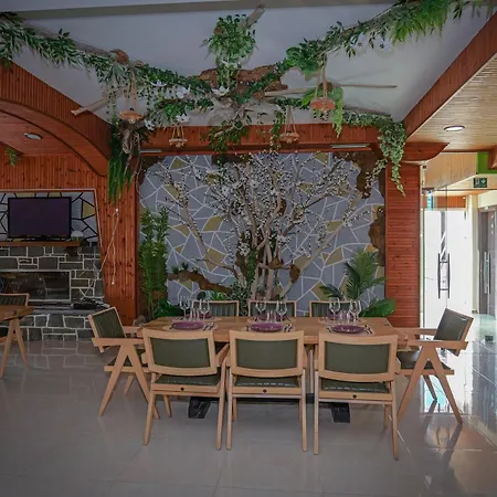 Hotel Dolanit Lalez